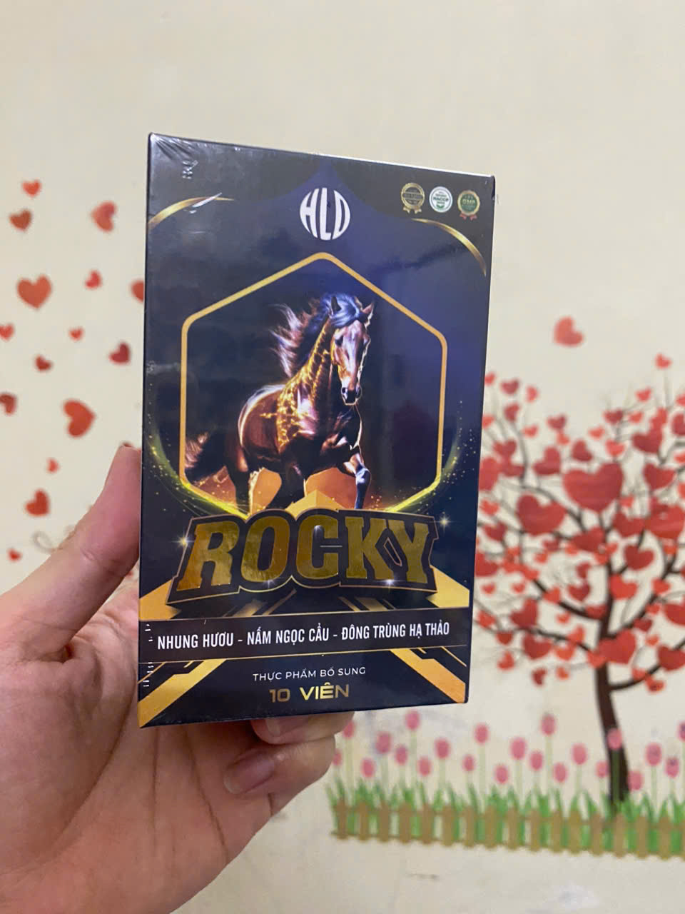 Kẹo ngậm Rocky Chính Hãng 17 rocky1
